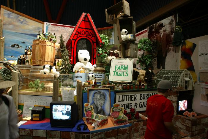 California County Fair